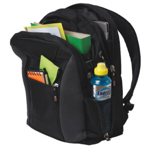 Biz Laptop Backpack