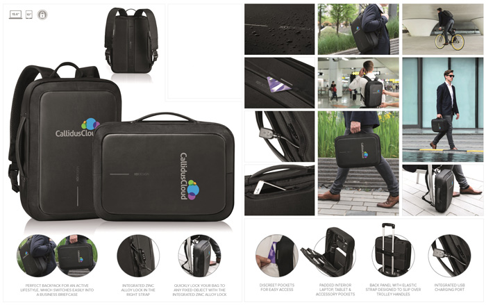 Bobby Bizz Anti-Theft Backpack & Briefcase