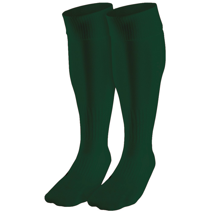 BRT Team Sock - Image 3